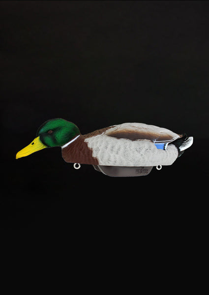 pospack2main3_grande.jpg?v=