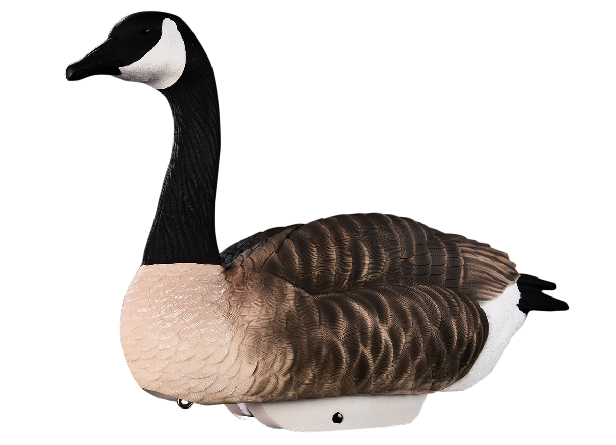 HydroFoam Canada Geese Light as a Feather Lasts Forever
