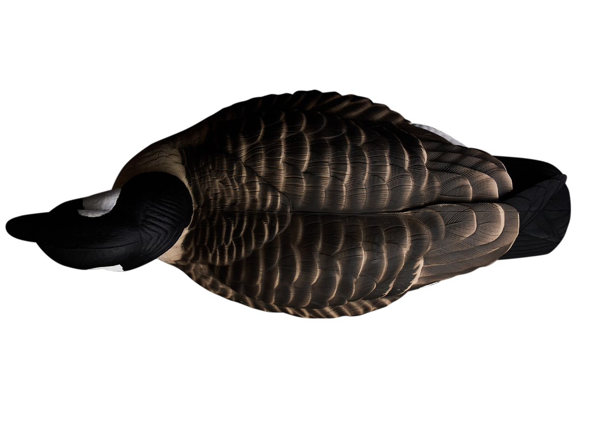 Canada goose mexico kit online